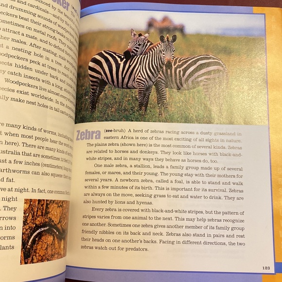 Books:Scholastic Encyclopedia ANIMALS & Reader’s Digest INTELLIGENCE IN ANIMALS - Picture 14 of 16